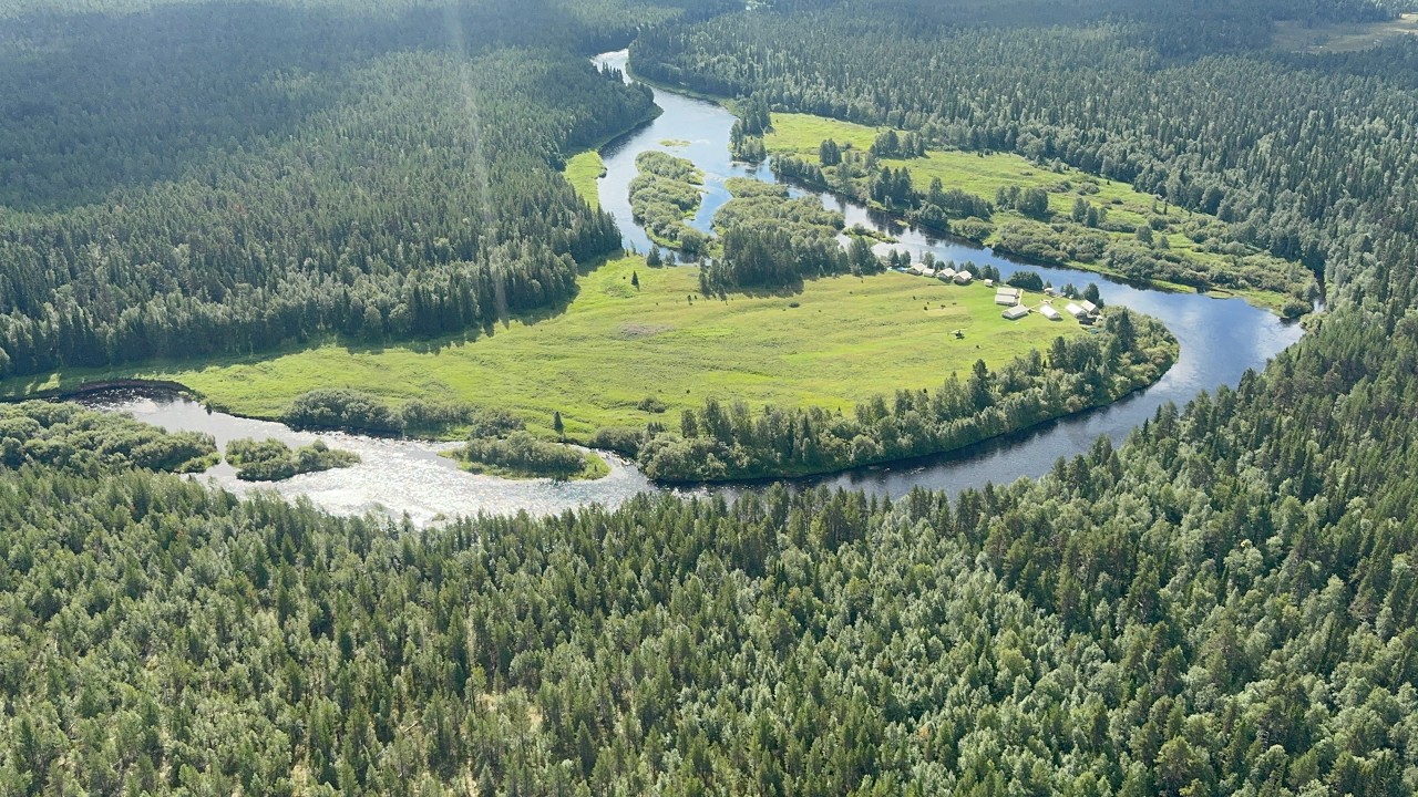 Мегра